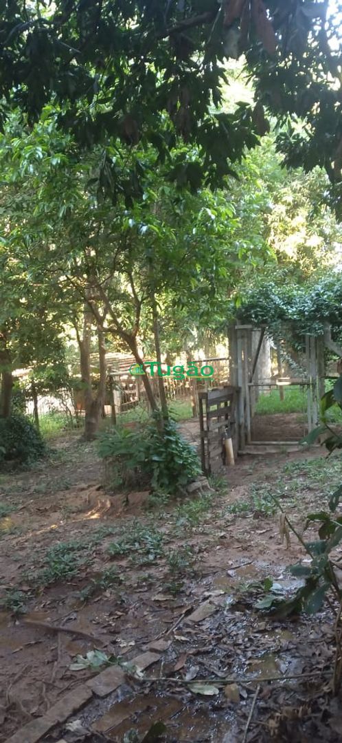 Fazenda / Sítio / Chácara com 3 quartos à venda, 350m² — foto 20 de 25