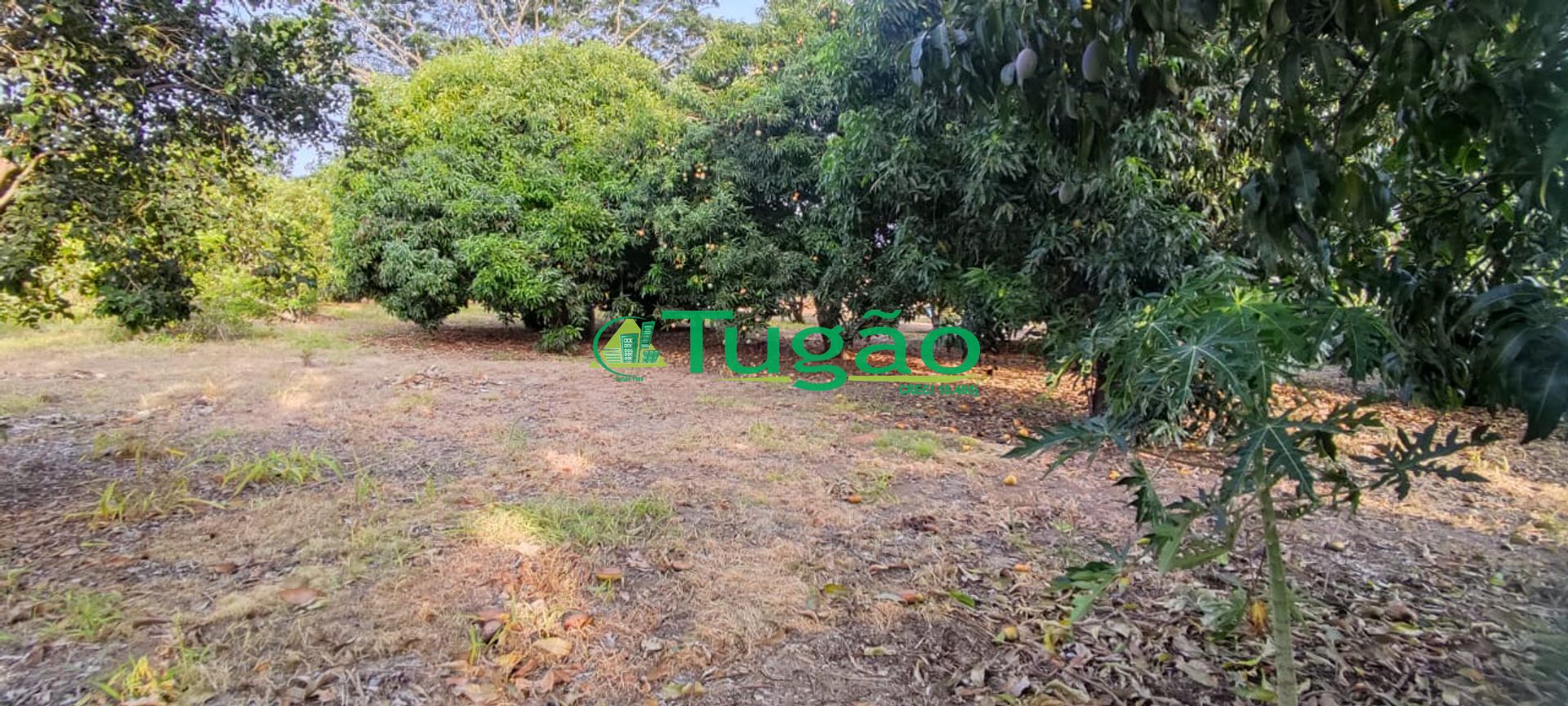 Fazenda / Sítio / Chácara com 1 quarto à venda, 250m² — foto 19 de 27