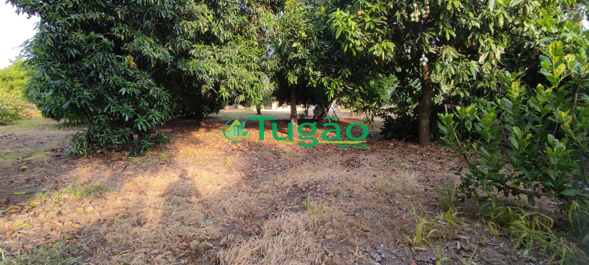 Fazenda / Sítio / Chácara com 1 quarto à venda, 250m² — foto 22 de 27
