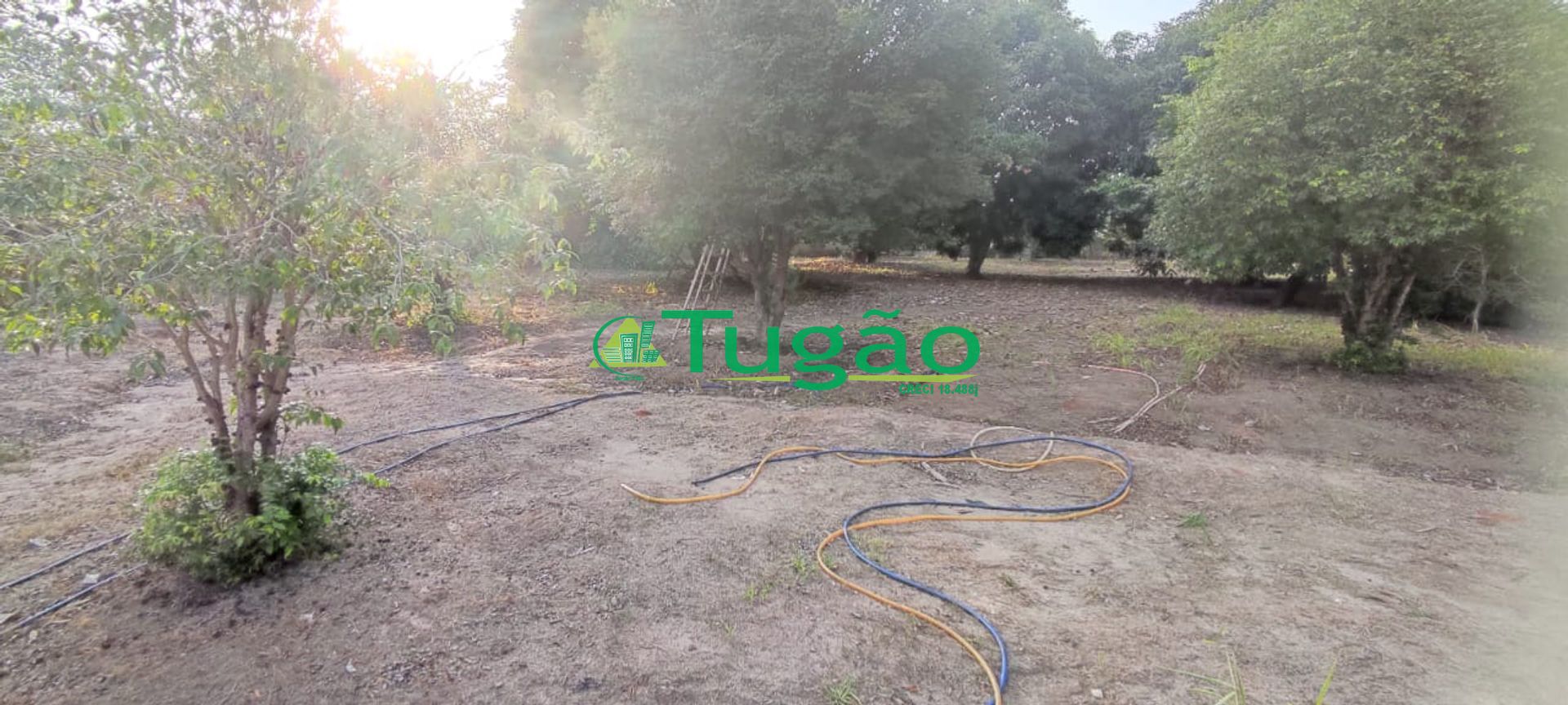 Fazenda / Sítio / Chácara com 1 quarto à venda, 250m² — foto 14 de 27