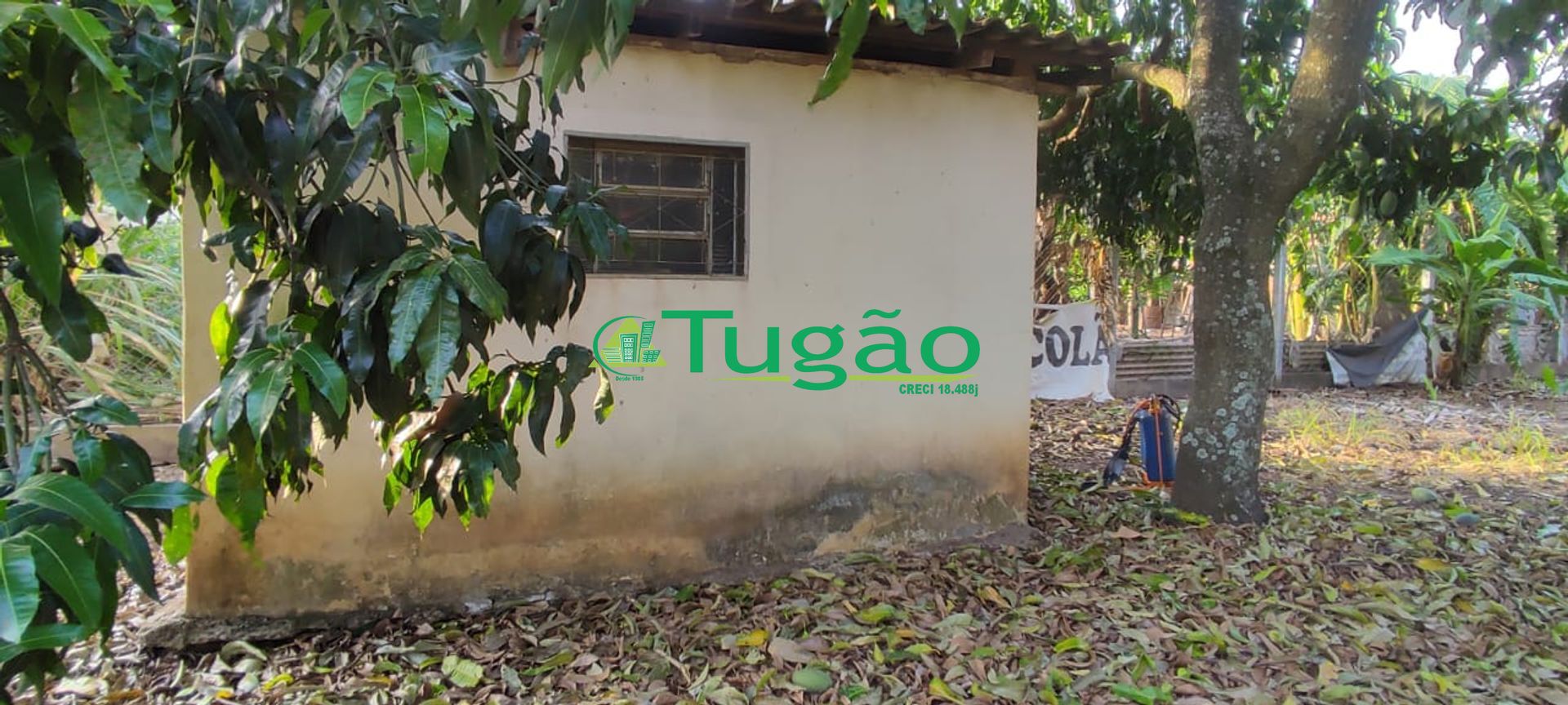 Fazenda / Sítio / Chácara com 1 quarto à venda, 250m² — foto 18 de 27