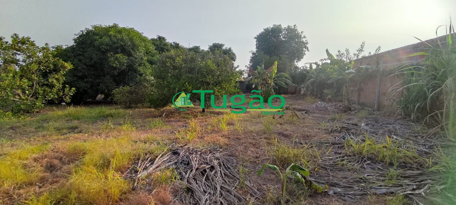 Fazenda / Sítio / Chácara com 1 quarto à venda, 250m² — foto 21 de 27