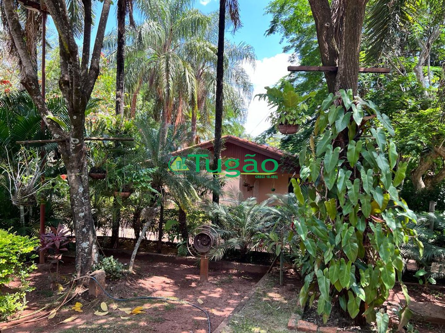 Fazenda / Sítio / Chácara com 8 quartos à venda, 700m² — foto 35 de 52