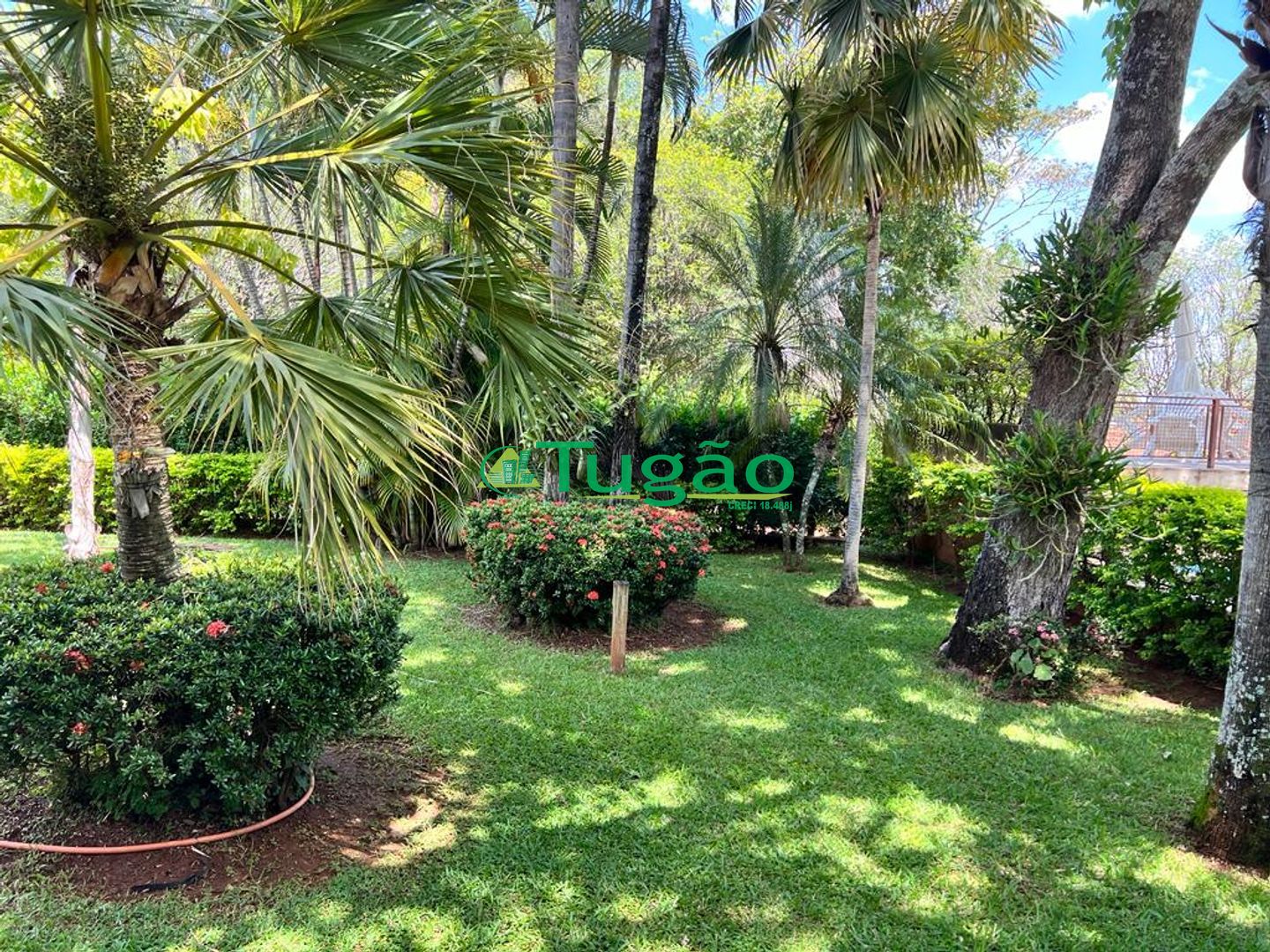 Fazenda / Sítio / Chácara com 8 quartos à venda, 700m² — foto 41 de 52