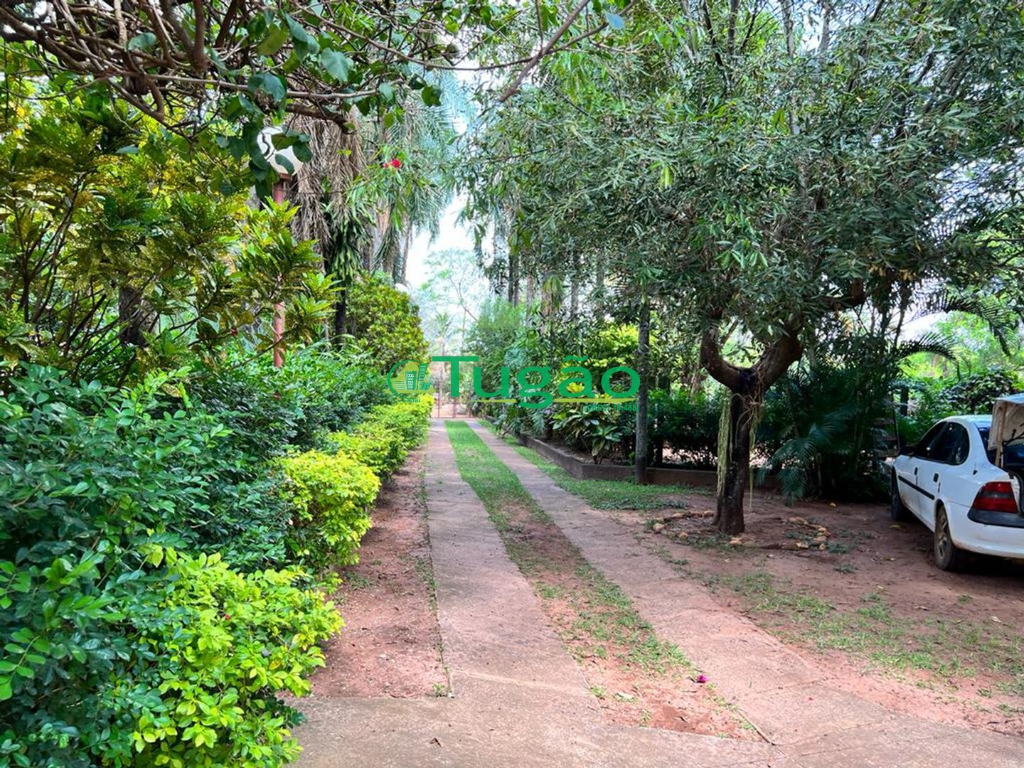 Fazenda / Sítio / Chácara com 8 quartos à venda, 700m² — foto 48 de 52