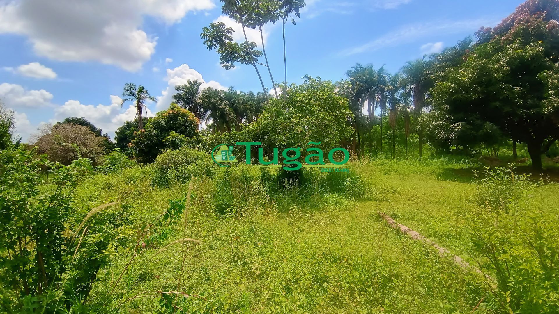 Fazenda / Sítio / Chácara com 2 quartos à venda, 1000m² — foto 9 de 17