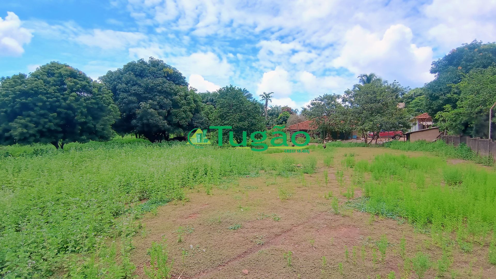 Fazenda / Sítio / Chácara com 2 quartos à venda, 1000m² — foto 11 de 17