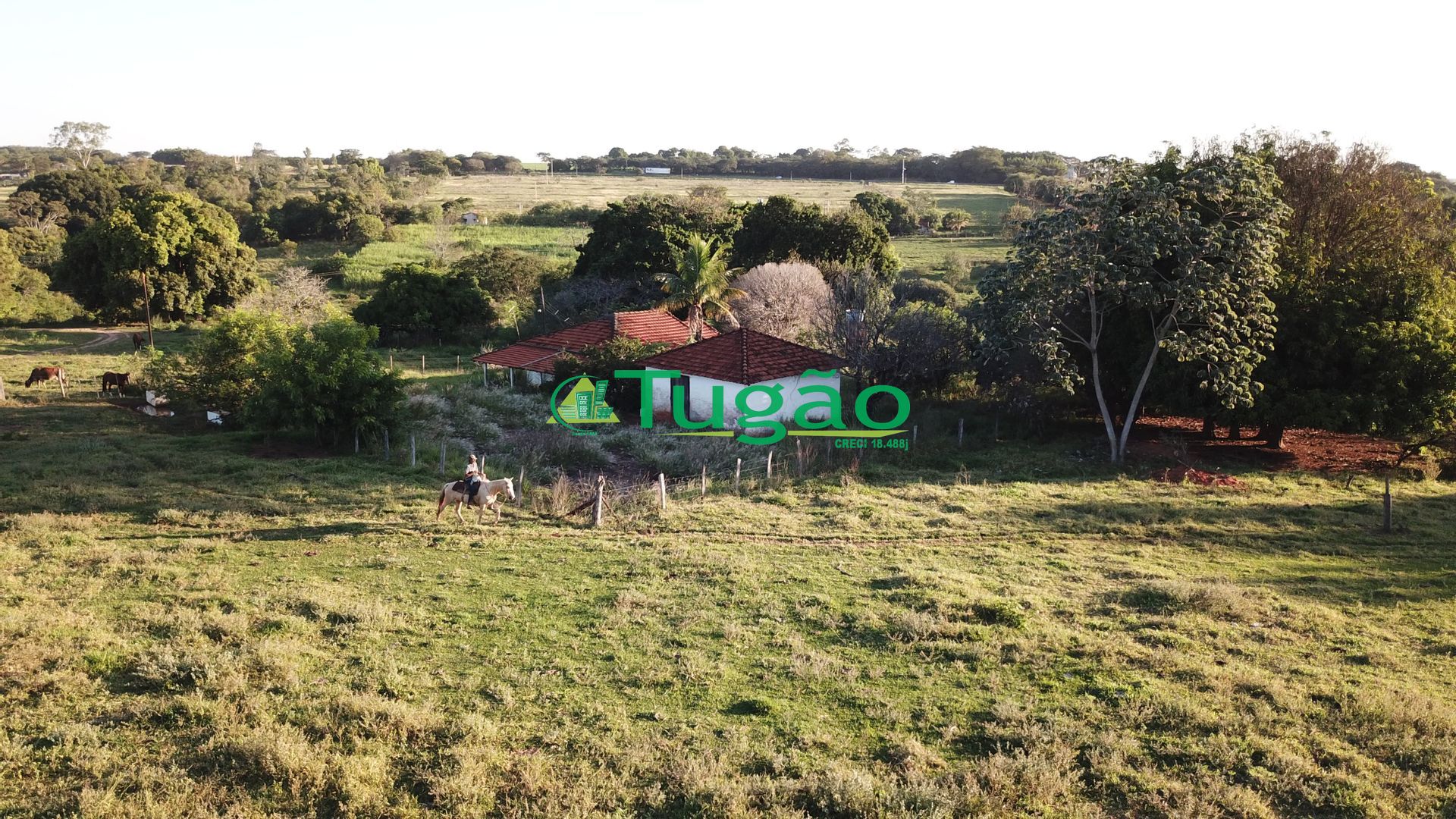 Fazenda / Sítio / Chácara  à venda, 164560000m² — foto 7 de 15