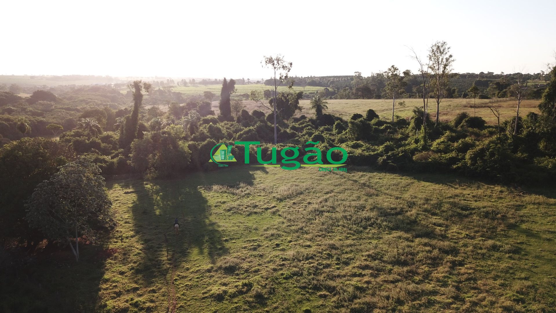 Fazenda / Sítio / Chácara  à venda, 164560000m² — foto 8 de 15