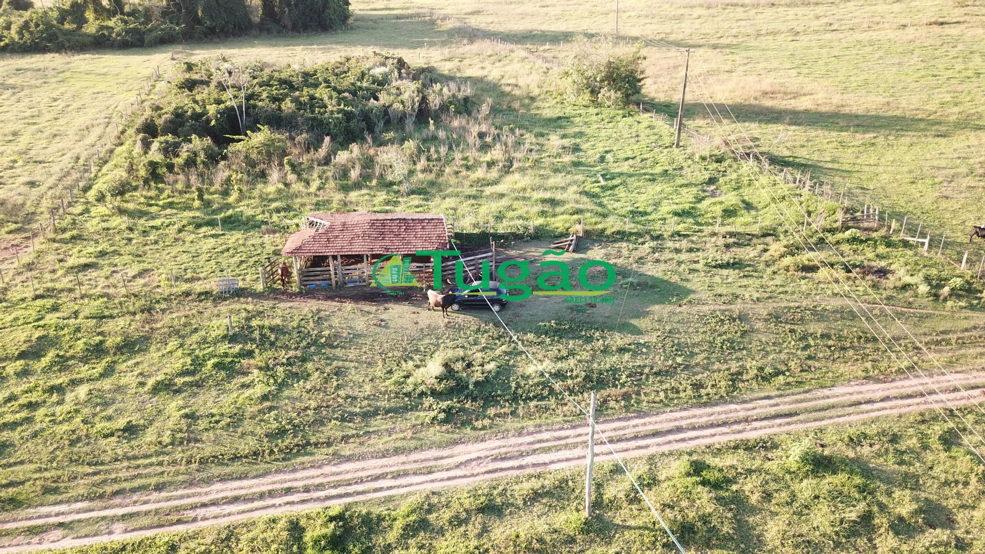 Fazenda / Sítio / Chácara  à venda, 164560000m² — foto 13 de 15
