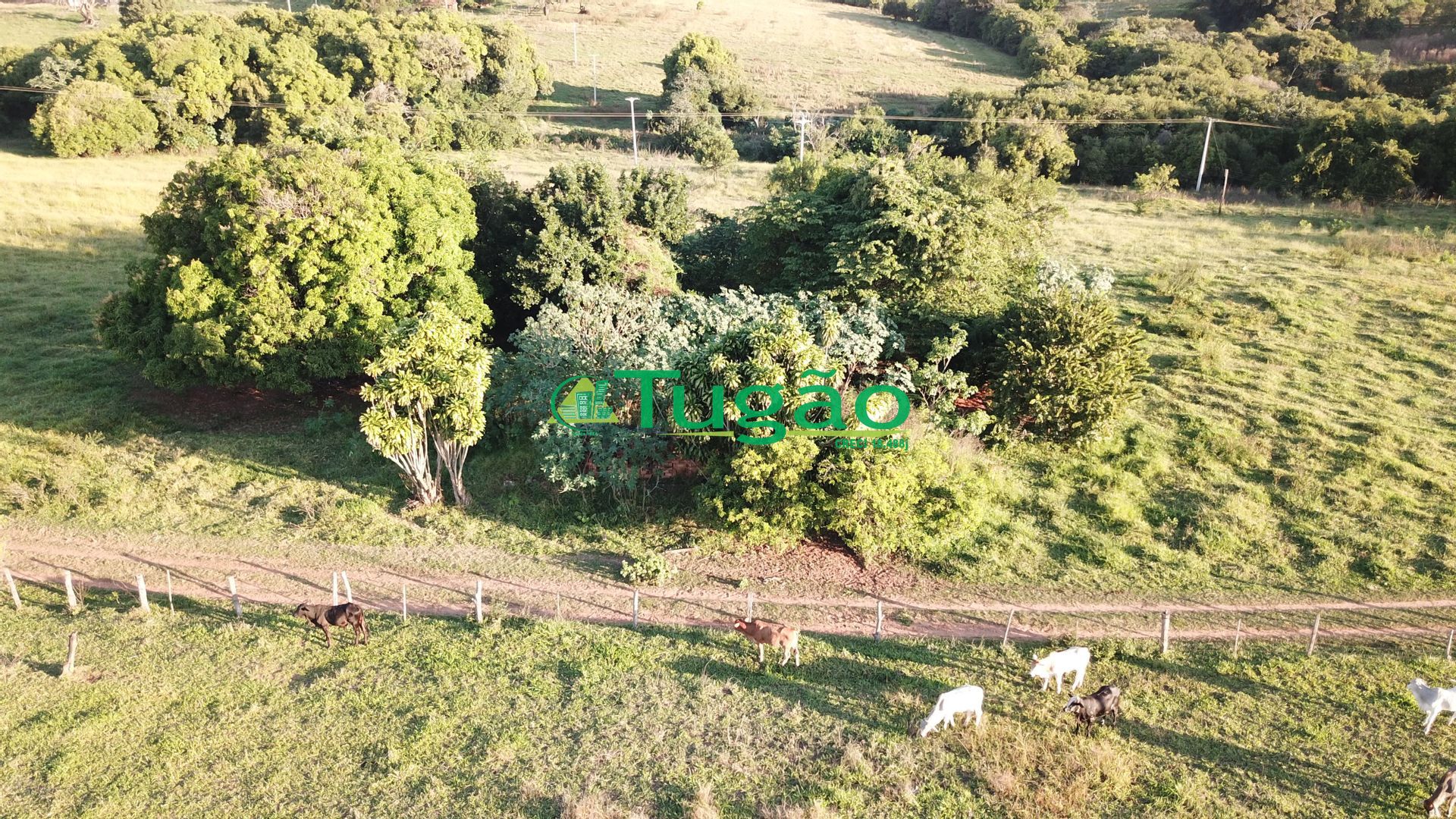 Fazenda / Sítio / Chácara  à venda, 164560000m² — foto 12 de 15