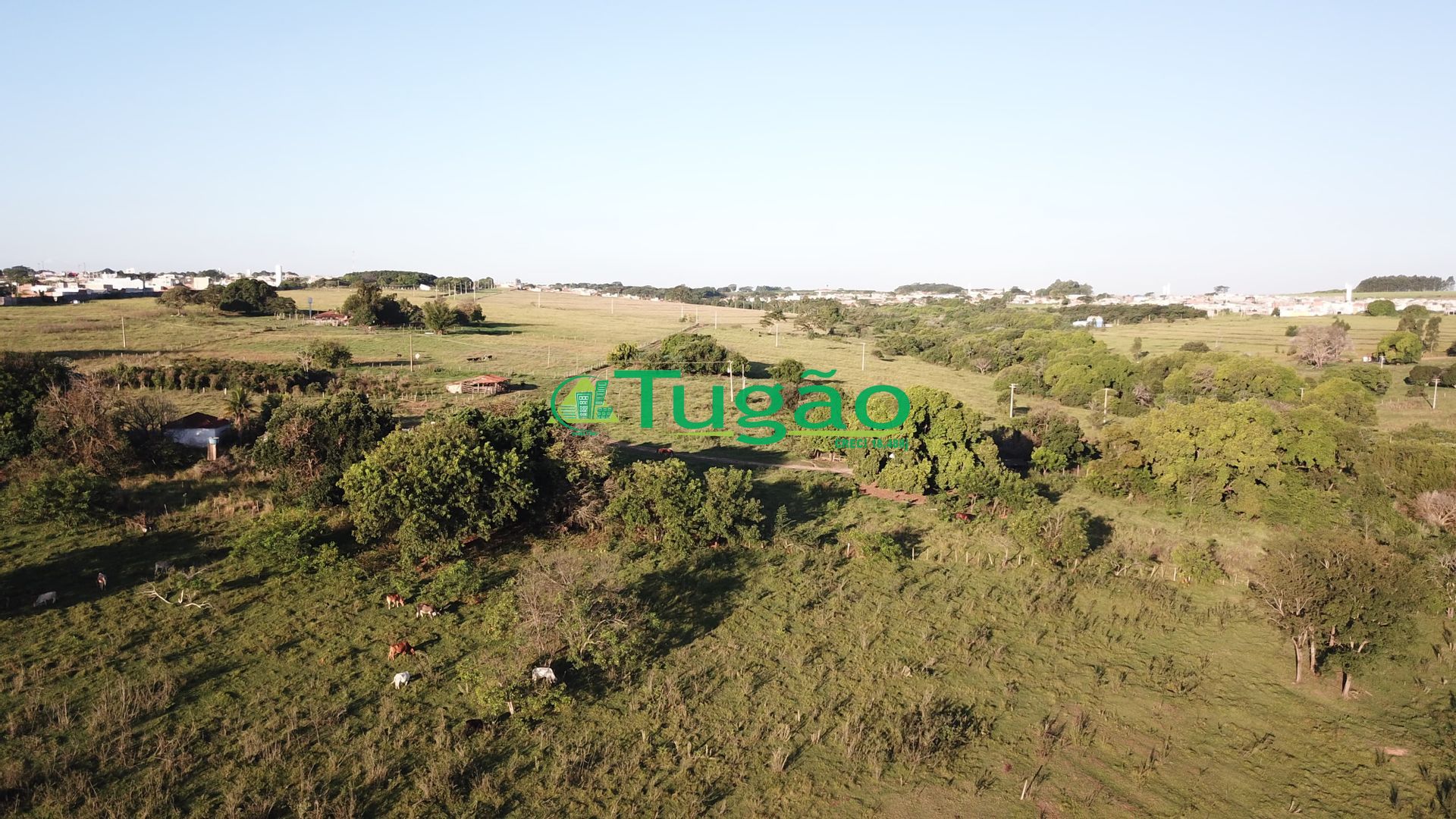 Fazenda / Sítio / Chácara  à venda, 164560000m² — foto 3 de 15
