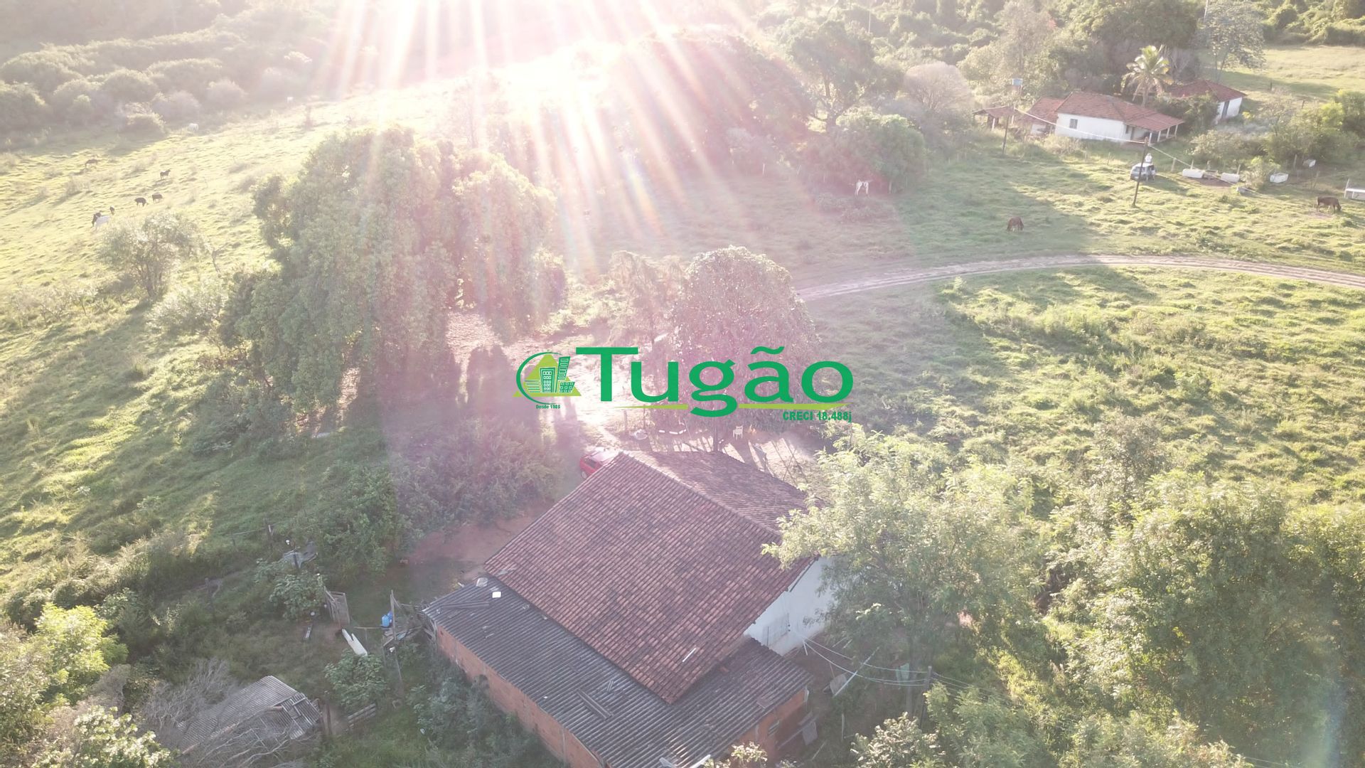 Fazenda / Sítio / Chácara  à venda, 164560000m² — foto 11 de 15