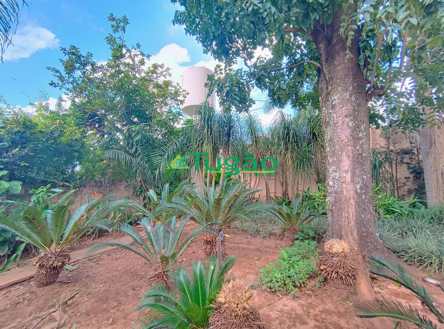 Fazenda / Sítio / Chácara com 3 quartos à venda, 550m² — foto 4 de 38