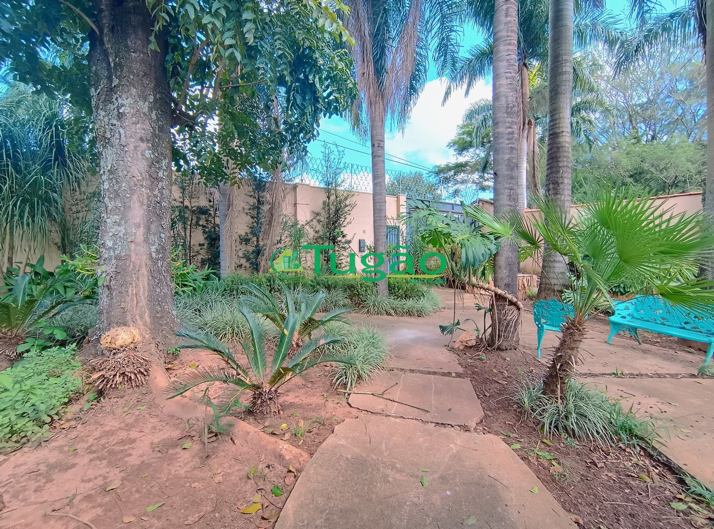 Fazenda / Sítio / Chácara com 3 quartos à venda, 550m² — foto 6 de 38