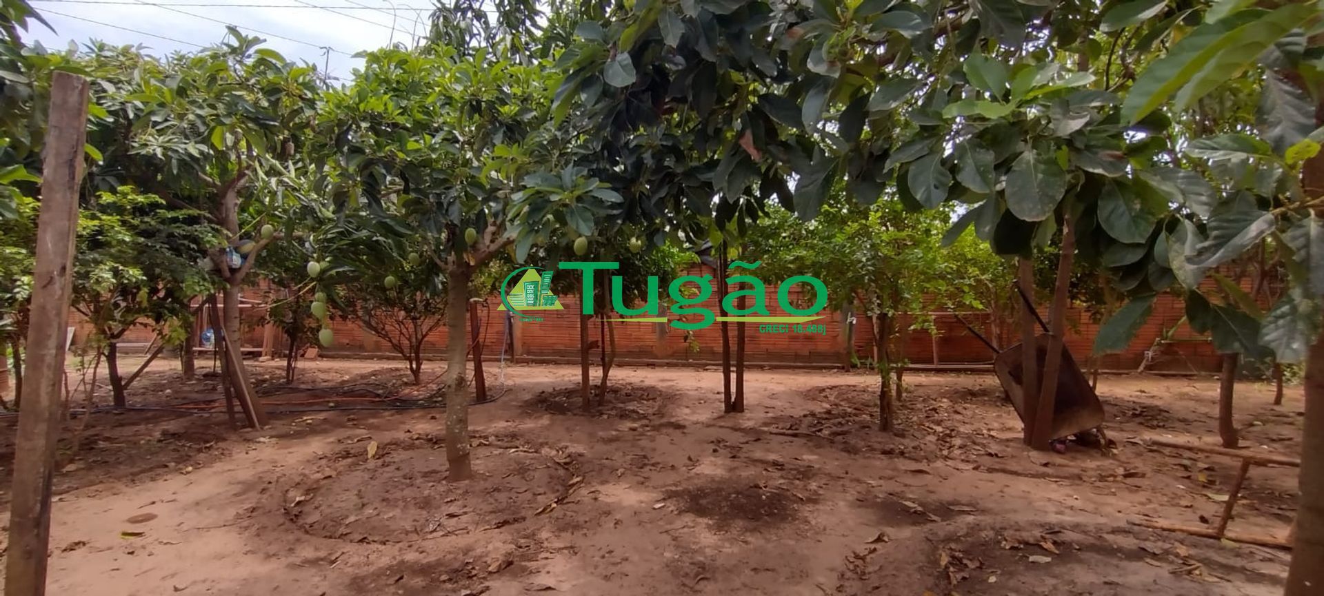 Fazenda / Sítio / Chácara com 2 quartos à venda, 130m² — foto 12 de 16
