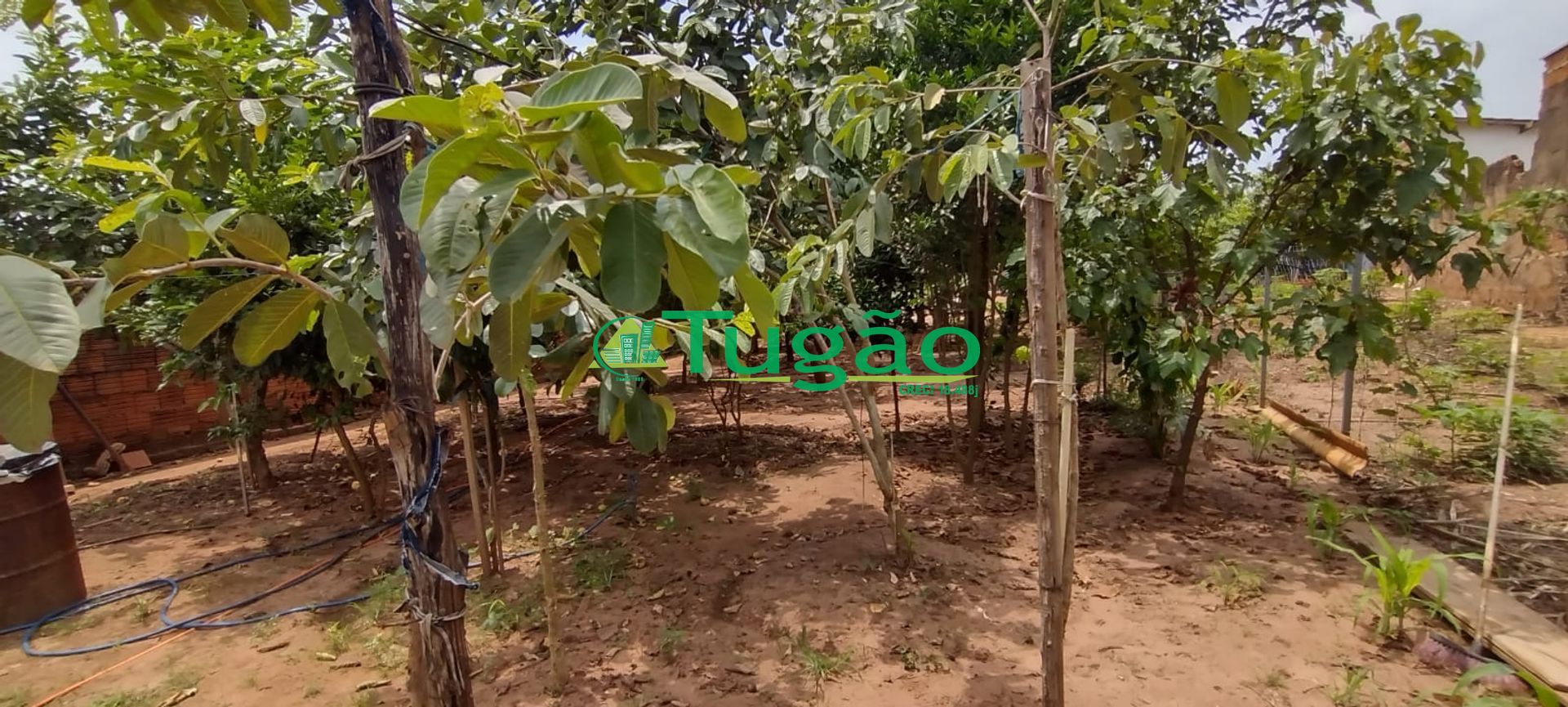 Fazenda / Sítio / Chácara com 2 quartos à venda, 130m² — foto 13 de 16
