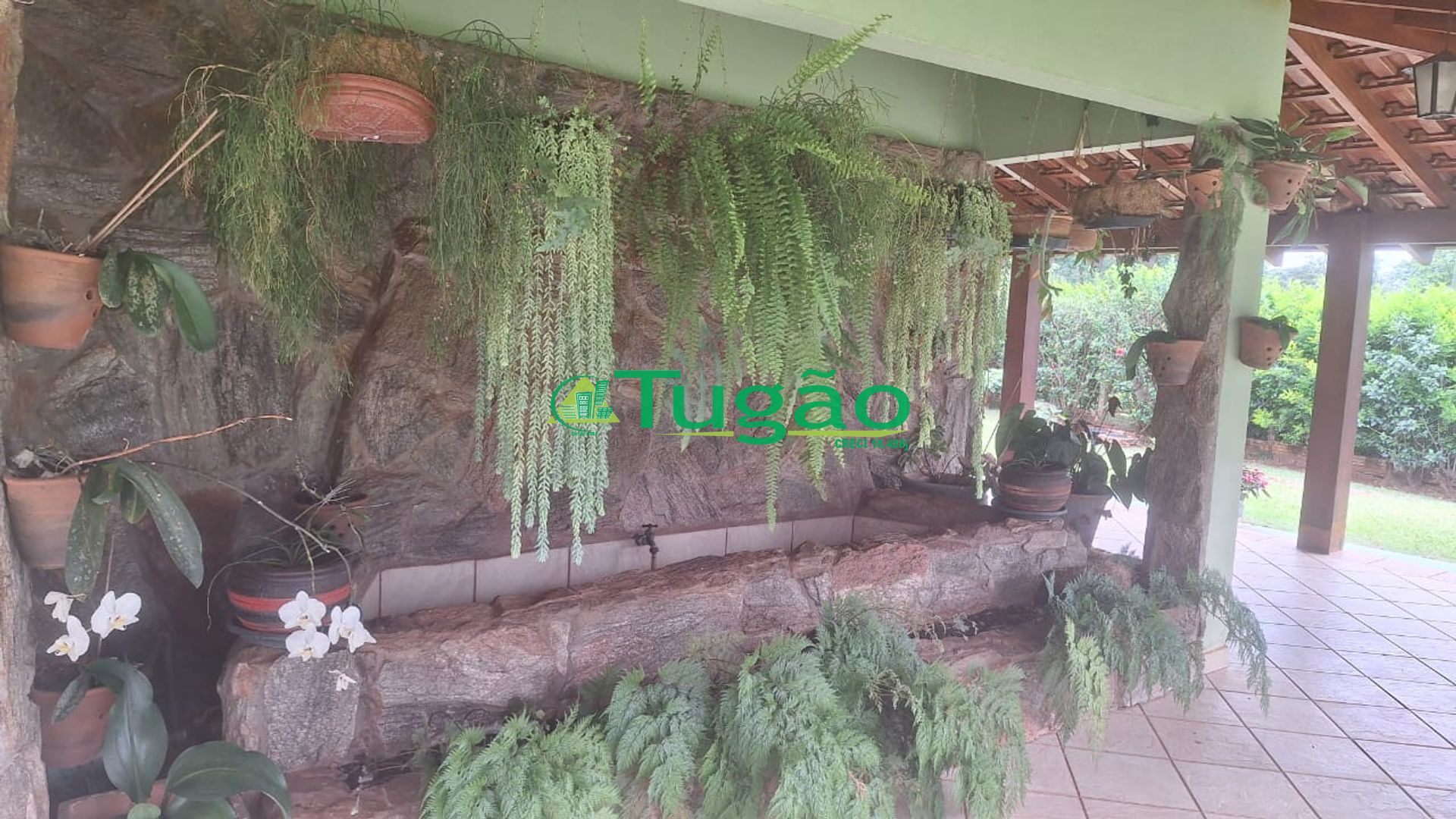 Fazenda / Sítio / Chácara com 5 quartos à venda, 1200m² — foto 14 de 20