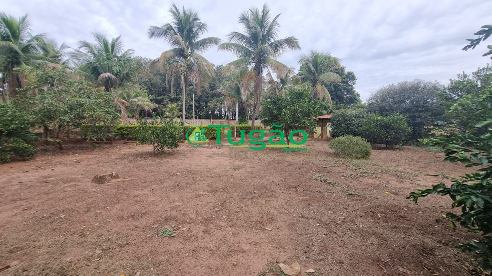 Fazenda / Sítio / Chácara com 2 quartos à venda, 3120m² — foto 4 de 8