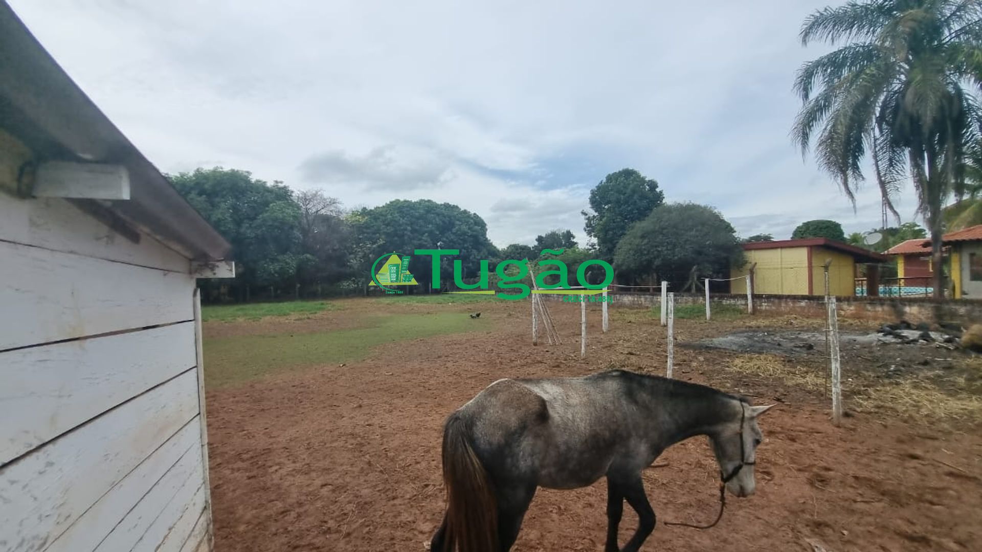 Fazenda / Sítio / Chácara com 2 quartos à venda, 3120m² — foto 6 de 8