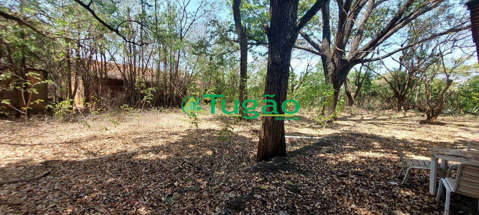 Fazenda / Sítio / Chácara com 6 quartos à venda, 600m² — foto 4 de 34