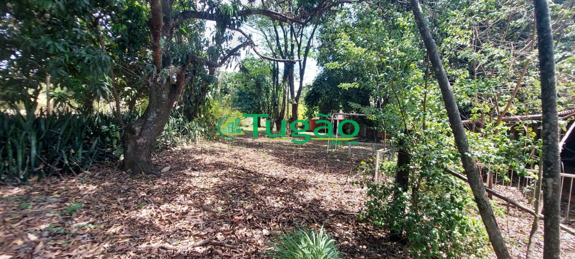 Fazenda / Sítio / Chácara com 6 quartos à venda, 600m² — foto 9 de 34