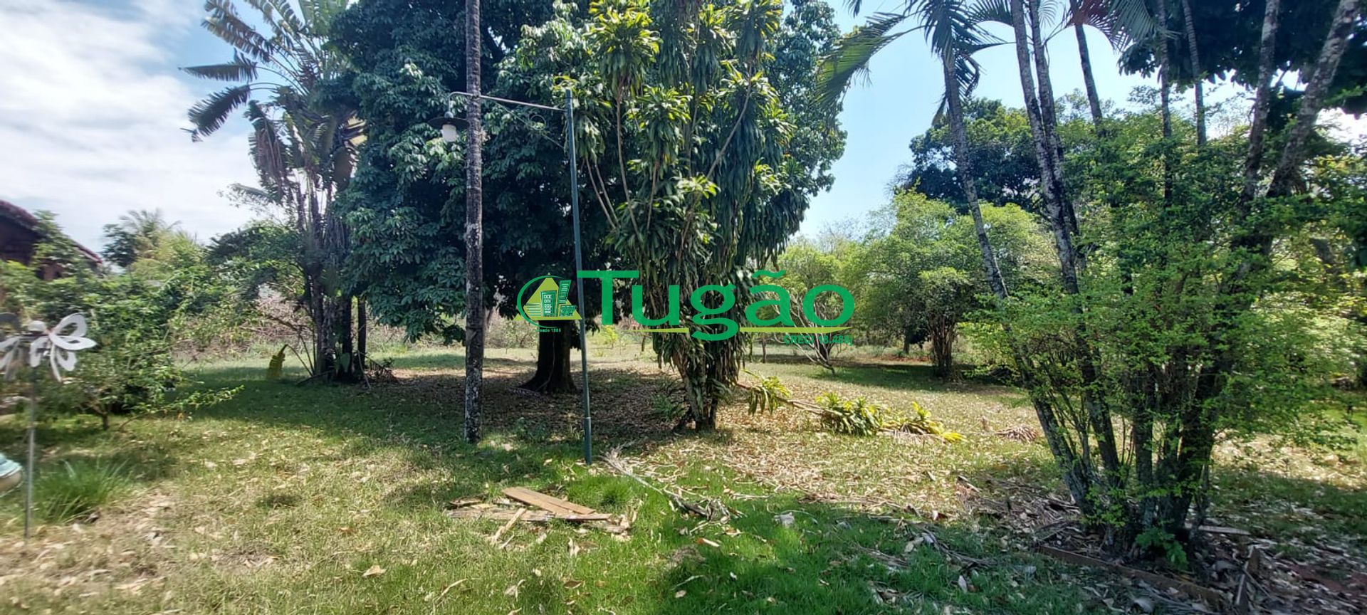 Fazenda / Sítio / Chácara com 6 quartos à venda, 600m² — foto 16 de 34