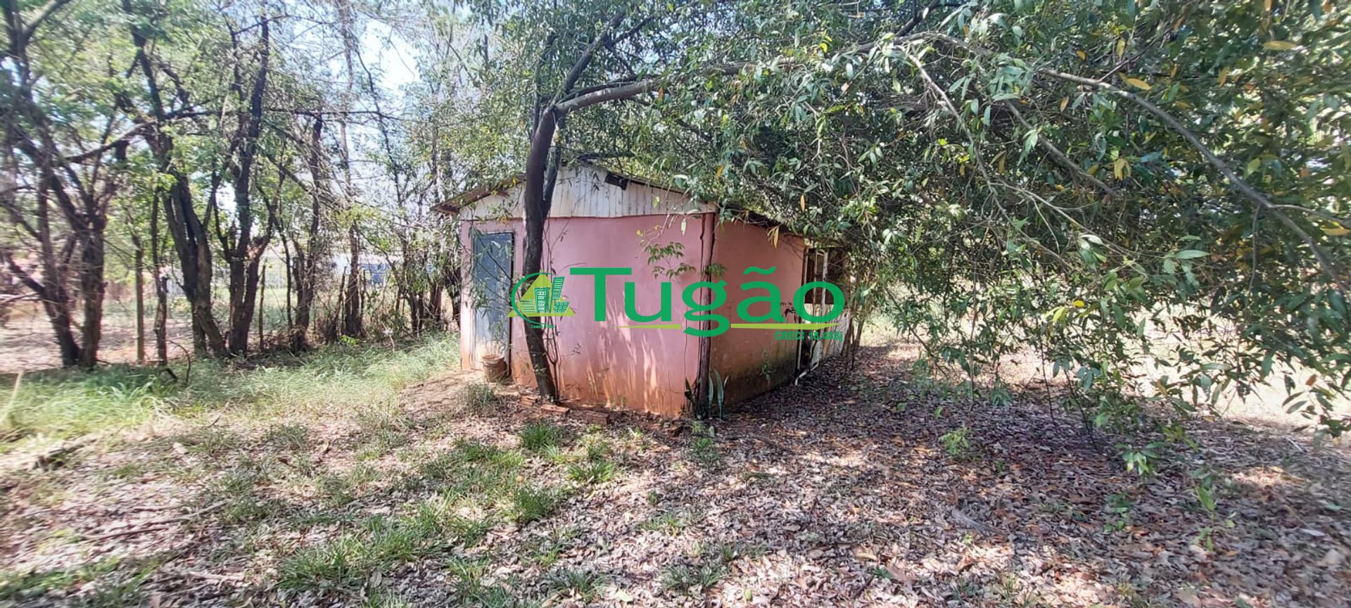 Fazenda / Sítio / Chácara com 6 quartos à venda, 600m² — foto 8 de 34
