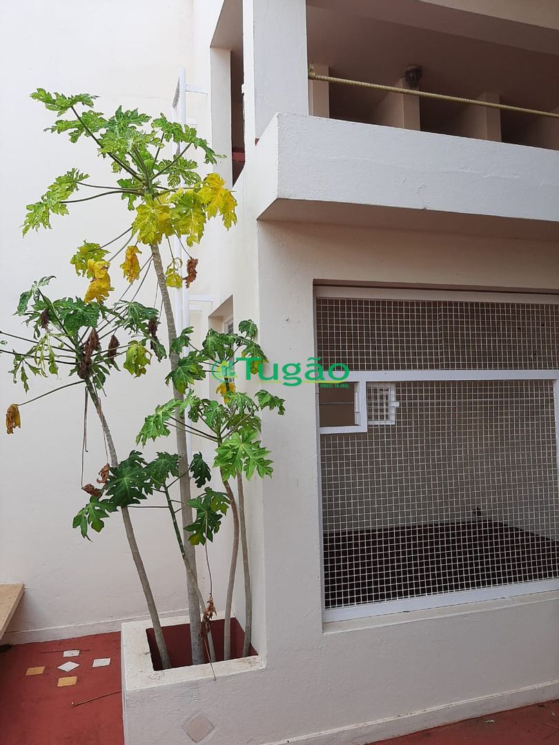 Casa com 4 quartos à venda, 285m² — foto 4 de 48