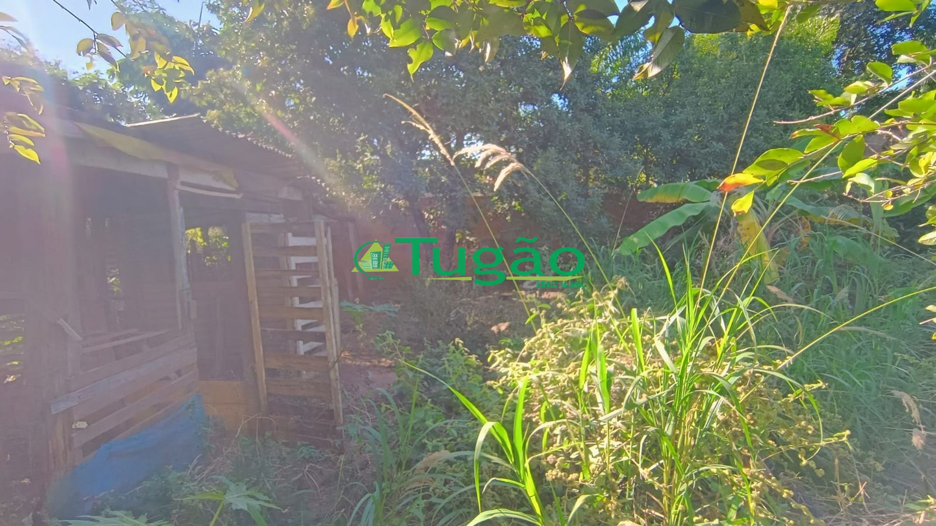 Fazenda / Sítio / Chácara com 2 quartos à venda, 225m² — foto 19 de 20