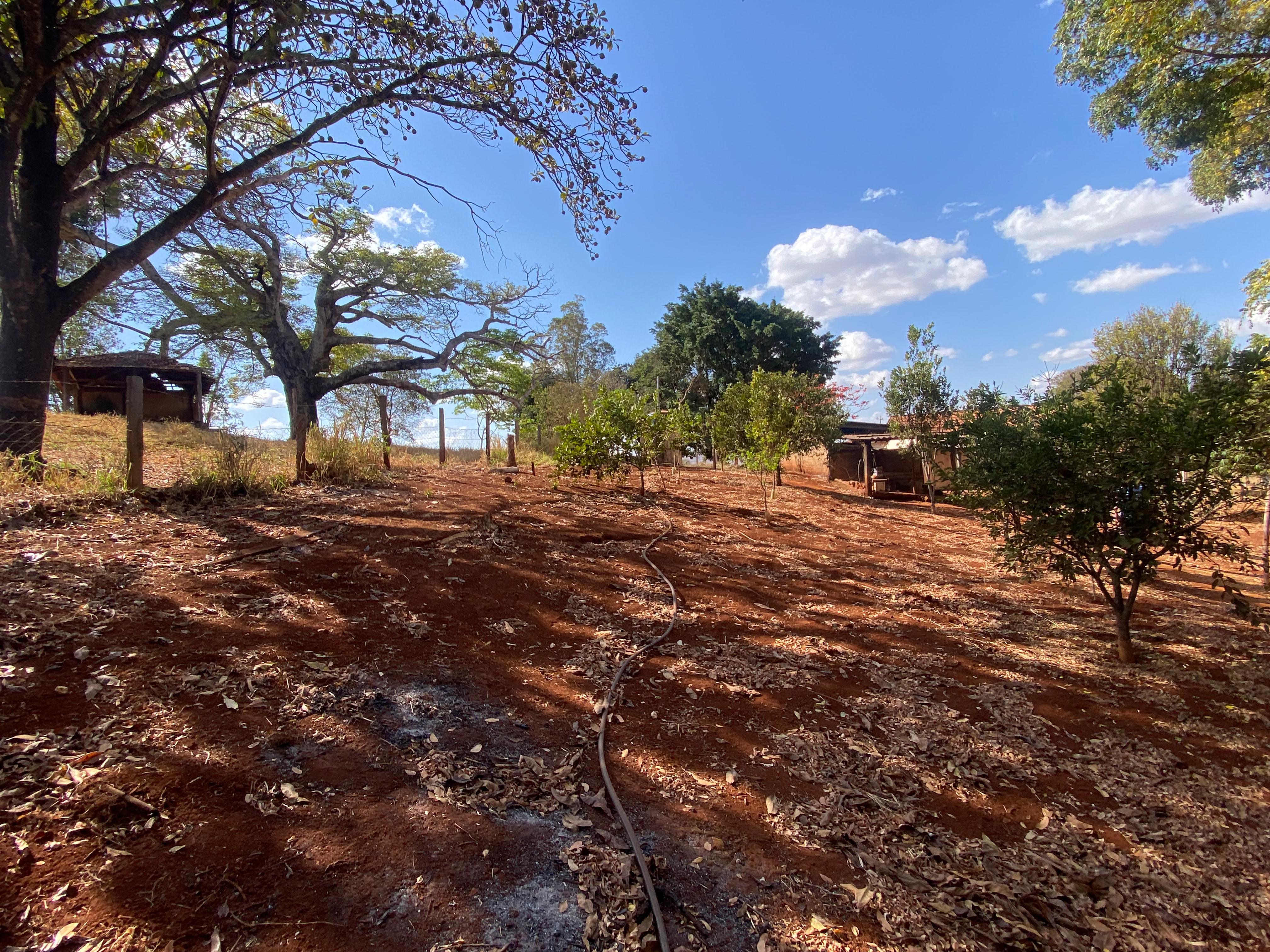 Sítio para Venda Mata dos Fernandes, Patos de Minas